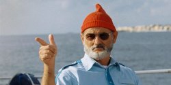 steve zissou pointing Meme Template