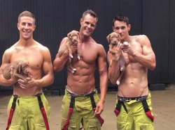 sexybirthdayamanda Meme Template