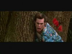 Ace Ventura darts Meme Template