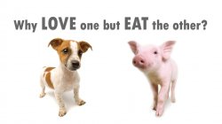 mmm Bacon Meme Template