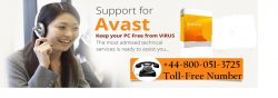Avast Antivirus Phone Number@http://www.antivirussuport.co.uk/av Meme Template