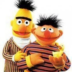 bert and ernie Meme Template