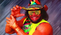 Macho Man Randy Savage Meme Template