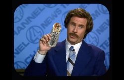 Ron Burgundy - I love Chipotle Meme Template