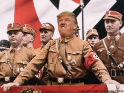 Trump Hitler  Meme Template