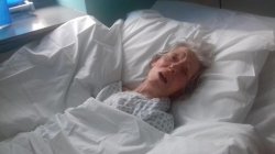 Old Dying Lady Meme Template