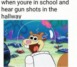 school shooting Meme Template