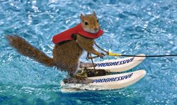 Waterskiing squirrel Meme Template