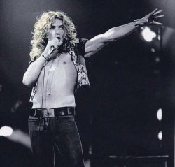 robert plant 2 Meme Template