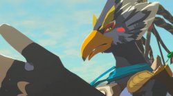 Revali thinks it's asinine Meme Template