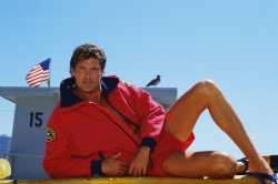 hasselhoff seductive pose Meme Template