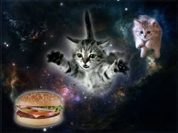 Cat Space Burger Meme Template