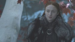 Sansa Meme Template