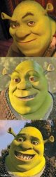 Bad Pun Shrek Meme Template