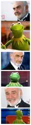 Sean and Kermit Meme Template