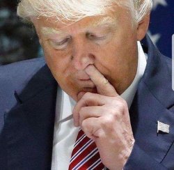 Trump finger bang Meme Template