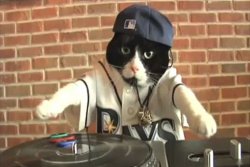DJ Kitty Meme Template