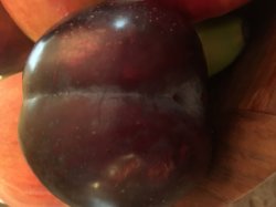 Plumbutt Meme Template