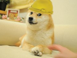 Doge Hard hat Meme Template