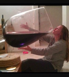 Giant glass of wine Meme Template