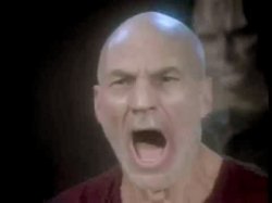 Four Lights Picard Meme Template