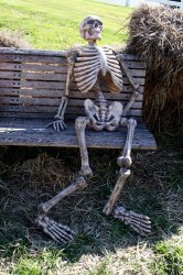 skeleton on bench Meme Template