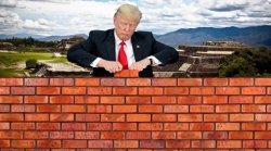 Trump wall Meme Template