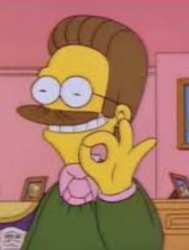 ???? Ned Flanders  Meme Template
