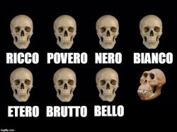 teschi (persona che...) zarrr Meme Template