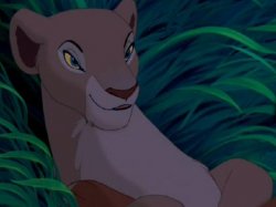 Nala Seductive Look Meme Template