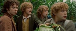 hobbits Meme Template