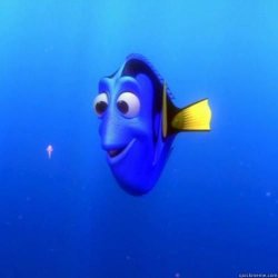 dory Meme Template