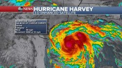 Hurricane Harvey Meme Template