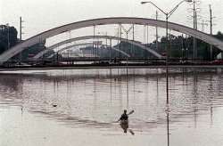 Freeway Canoe Man Meme Template