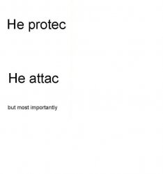 he protec Meme Template