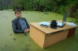 Swamp desk Meme Template