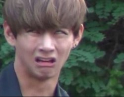 taehyung derp face Meme Template