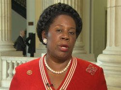 Sheila Jackson Lee Meme Template