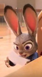 Judy Hopps raised eyebrow  Meme Template