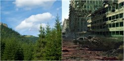 Forest | City Meme Template