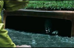 IT sewer meme Meme Template