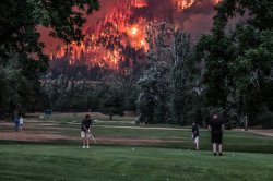This Is Fine Golfing Meme Template