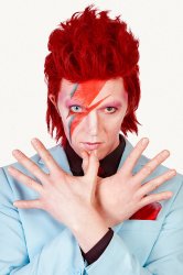 Ziggy Stardust Meme Template