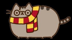 Harry Potter cat Meme Template