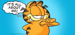 Approving  Garfield Meme Template