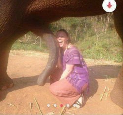 Elephant & happy girl Meme Template