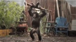 Monkey With AK-47 Meme Template