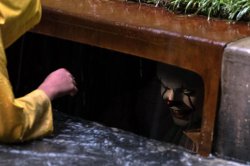 It sewer Meme Template