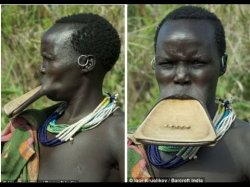 lip plate Meme Template