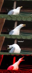 Inhales 2 Meme Template